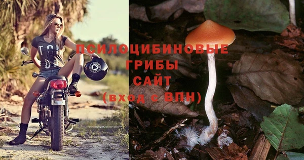 стаф Грязи