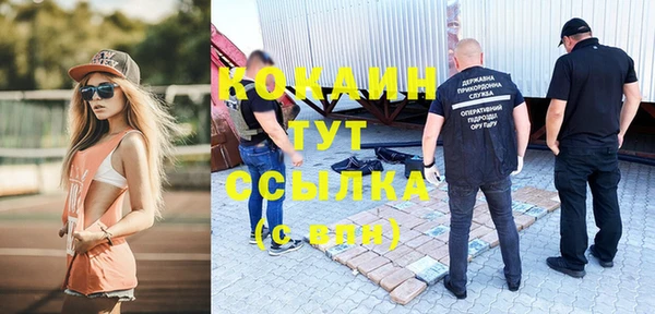 трава Грязовец