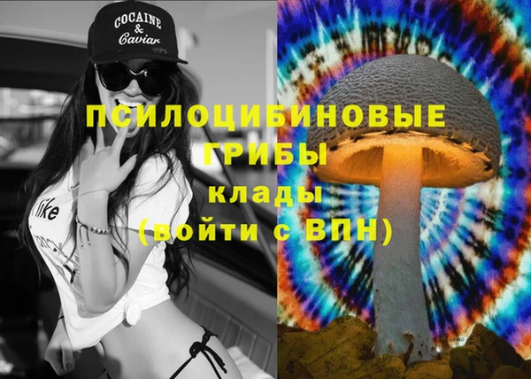 jwh Дмитровск