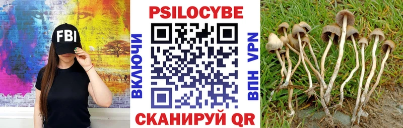 Псилоцибиновые грибы MAGIC MUSHROOMS  Донецк 