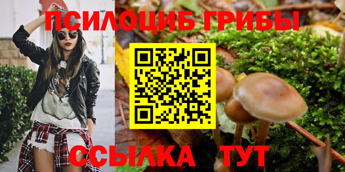 Донецк  Галлюциногенные грибы Psilocybe  Вход с VPN 