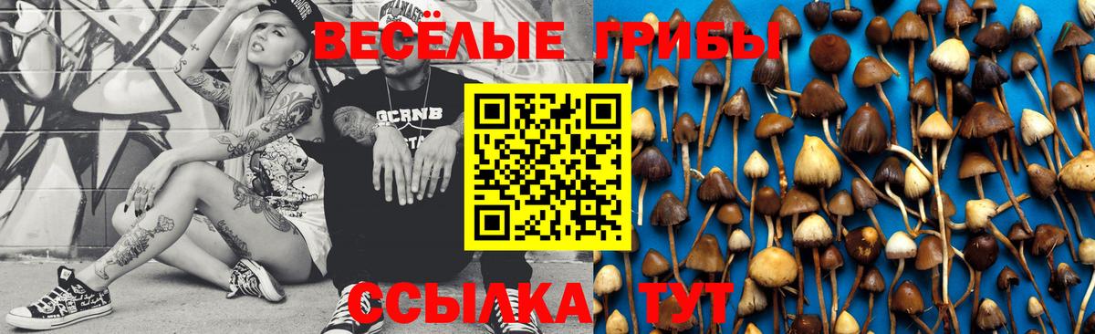 Галлюциногенные грибы GOLDEN TEACHER Донецк